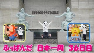 ふぅぱんだ　日本一周の旅　３６日目（青森県大間町～北海道奥尻町）