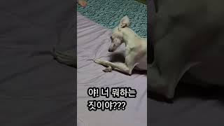 야!  너 뭐하는 짓이야???