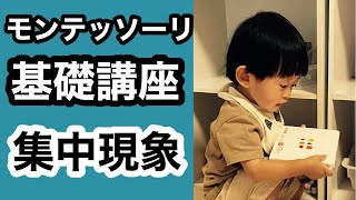 【子どもの才能を伸ばす】モンテッソーリ教育の基礎講座14-集中現象【おうちモンテ】