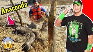 I Caught Anaconda😱Near To Death Experience #Short #Shorts