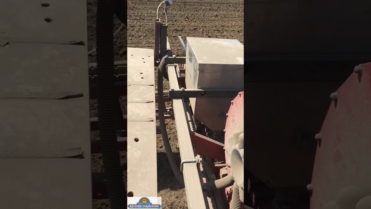 Planting Pumpkins Youtube