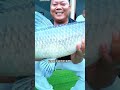 for this fish li zhigang will not give up until he achieves his goal.