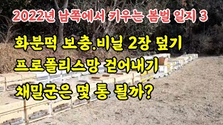 (경험상)첫 화분떡 보충 갯수가 채밀자격군수/남쪽봄벌일지3번째