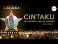 Vita Alvia - Cintaku Karaoke ( DJ DALAM SEPIKU KAULAH CANDAKU VIRAL TIKTOK 2022 )