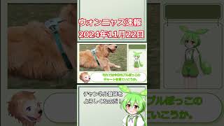 ウォンニャス速報11月22日 1400から始まってフルボッコで絶体絶命ｗ愛犬のジョニーも大興奮！ドル円も154円 #shorts #ウォン  #韓国 #ずんだもん #ドル円  #ずんだもん