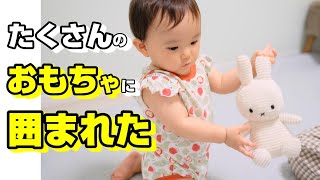 １歳の女の子の遊び　たくさんのおもちゃにテンションが上がる　【アニマルビーズバス】