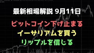 ここから反発｜ビットコイン、イーサリアム、リップルの値動きを解説