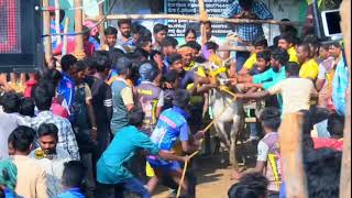 Nimmiyambattu Chella Ponnu Mass Running In Vallipattu