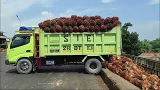 Matkul Teknologi Pasca Panen (Kelapa Sawit)