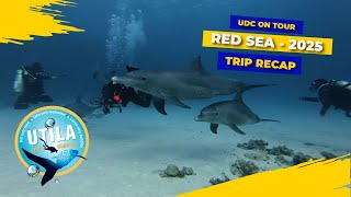 UDC on TOUR - RED SEA 2025 RECAP