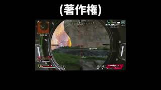 クレーバーの真骨頂【Apex Legends】