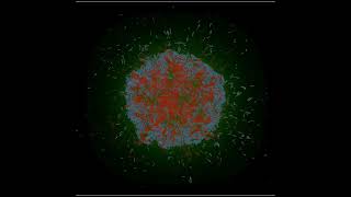 Bacterial swarming: a simulation of microscopic growth and motion