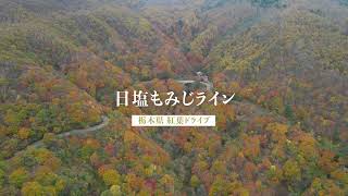 渋滞のいろは坂を横目に「日塩もみじライン」栃木の紅葉ドライブ