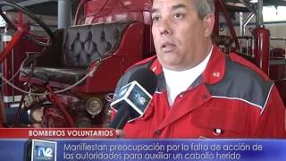 Bomberos Voluntarios | Denuncia de abandono de animal | 15/12/2016 - TV2 Noticias