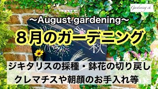 【ガーデニングを楽しもう！】切り戻しや鉢上げ、誘引に採種など・・・立秋を迎えたとある８月のお庭作業動画です。Enjoy gardening！