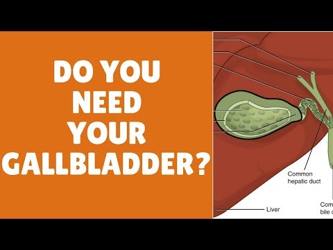 What function does the gallbladder do?