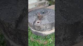 ಬೃಹತ್ ಗಾತ್ರದ ಬೀಸುವ ಕಲ್ಲು|Huge Stone Grinding