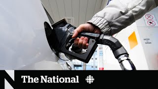 Carbon tax crash course: How it works and what it will cost you