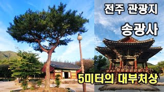 5m이 대불상, 순천 송광사 말고 전주 송광사