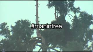 Video: Man climbs Seattle tree, becomes internet sensation