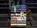 young stars in an exhibition fight at concluded big show boxing event showcase their boxing skills