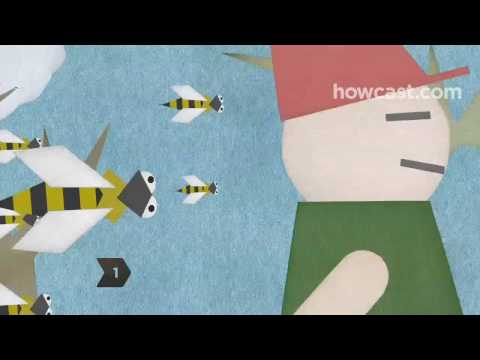 How to Survive a Killer Bee Attack How to Survive a Killer Bee Attack