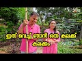 ഇതാണ് ഏറ്റവും നല്ല lunch /Healthy life /Lunch /Family vlog/Vegetarian /AJU'S WORLD