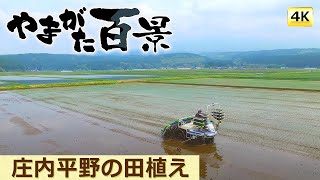 025 庄内平野の田植え（４Ｋ）～YTS山形テレビ「やまがた百景」～