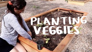 Finally planting in the garden \u0026 weeding my a** off!!!!! | GARDEN VLOG