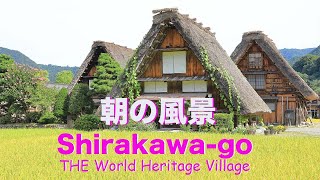 【岐阜/白川郷】世界遺産 / 飛騨白川郷 合掌集落の朝 / Shirakawa-go