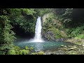 美しい伊豆湯ヶ島の【浄蓮の滝】です