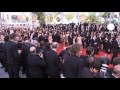 euronews cinema madagascar gang go wild in cannes