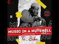 Ta Bibo || Music in a Nutshell - Amapiano Remixes  #amapianomix #amapiano #music