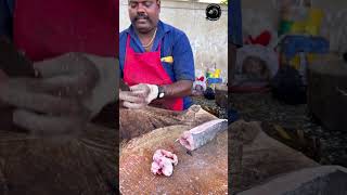 GOBIA FISH 🐟 KASIMEDU SPEED SELVAM MASS CUTTING SKILLS #fishcooking