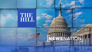 The Hill: 11/19/2024