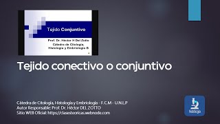 TEJIDO CONJUNTIVO