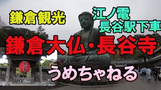 【鎌倉観光：大仏・長谷寺】江ノ電、長谷駅で途中下車しました。大仏は約121トンもあり大きくてびっくり！大仏の中にも入ることが出来ます。長谷寺は「花の寺」として親しまれており、菊が満開でした。