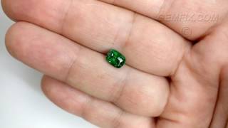 tsavorite garnet 21 232 VD