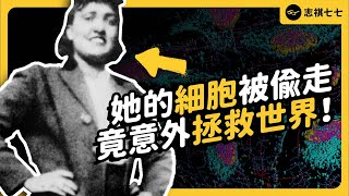 Rapid Division and Immortal: The Discovery of HeLa Cells That Saved Countless Lives｜shasha77