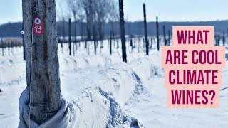 What are Cool Climate Wines?