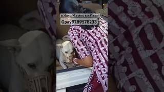 #dog எல்லோருக்கும் பிடித்த மாதிரி எனக்கு ஒரு வரம் கிடைத்திருக்கிறது இதுவே போதும் எனக்கு 🙏