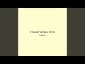Fragile Harmony Echo