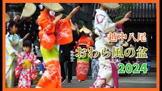 【👘散策物語】越中八尾おわら風の盆 2024「９月１日 第２部」下新町on八幡社、鏡町　～富山県富山市～