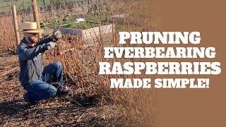 Quick Tip: Pruning Everbearing Raspberries in January!