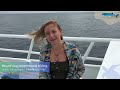 madelyn s review of galapagos dive liveaboard experience whale shark diving with a purpose