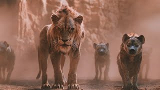 اسد بيقتل الملك وبيحاول يقتل ابن الملك .. بس ابنه بيكبر وبيرجع ينتقم لابوه | ملخص The Lion King