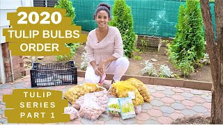 2020 Tulip Bulbs Order For Blooming Spring 2021 | Tulip Series Part 1