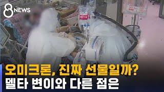 오미크론이 오히려 '크리스마스 선물'?…지켜봐야 할 점 / SBS