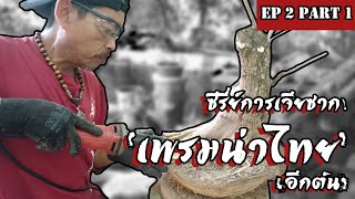 ซีรี่ย์การเจียซาก! กับเพรมน่าไทย(อีกต้น) | Bonsai Premna EP2 Part1