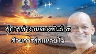 รู้การทำงานของขันธ์ 5 พุทธวจน